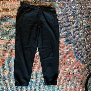 Aritzia Babaton Joggers